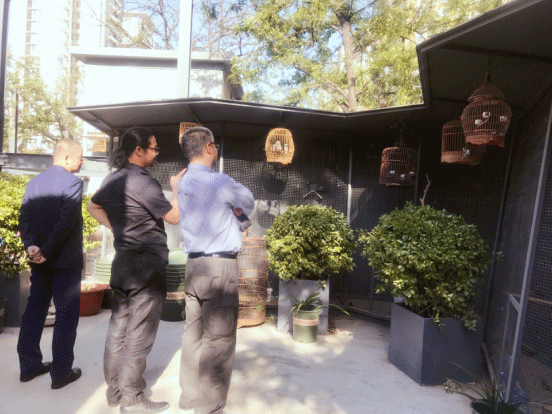 北京海岸设计|餐饮设计|酒店设计|民宿设计