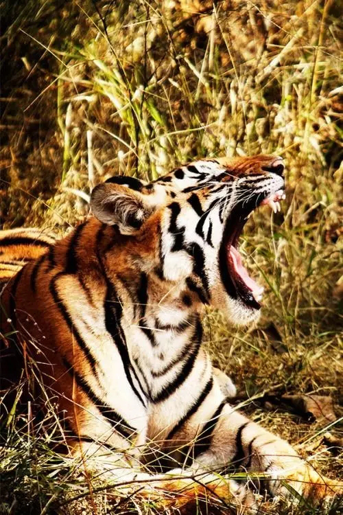 【海岸分享】美国发布2017全球最值得去的21个地方，中国居然只有它上榜！