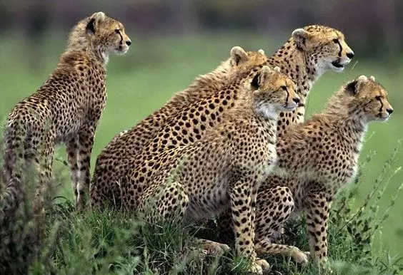 【海岸分享】美国发布2017全球最值得去的21个地方，中国居然只有它上榜！