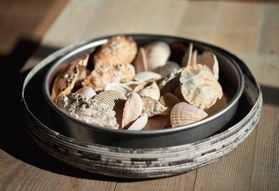 一张食物的图片