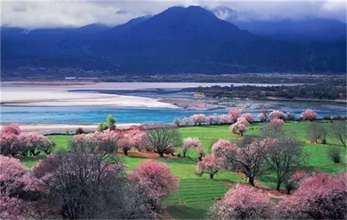 1506407910514616.png 1506407910514616.png