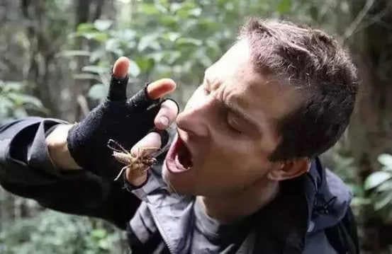 这个是荒野求生的镜头