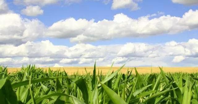 田园综合体设计