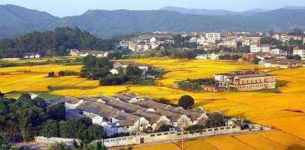 田园综合体设计