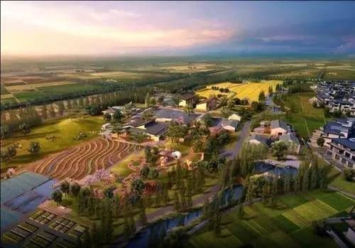 田园综合体设计
