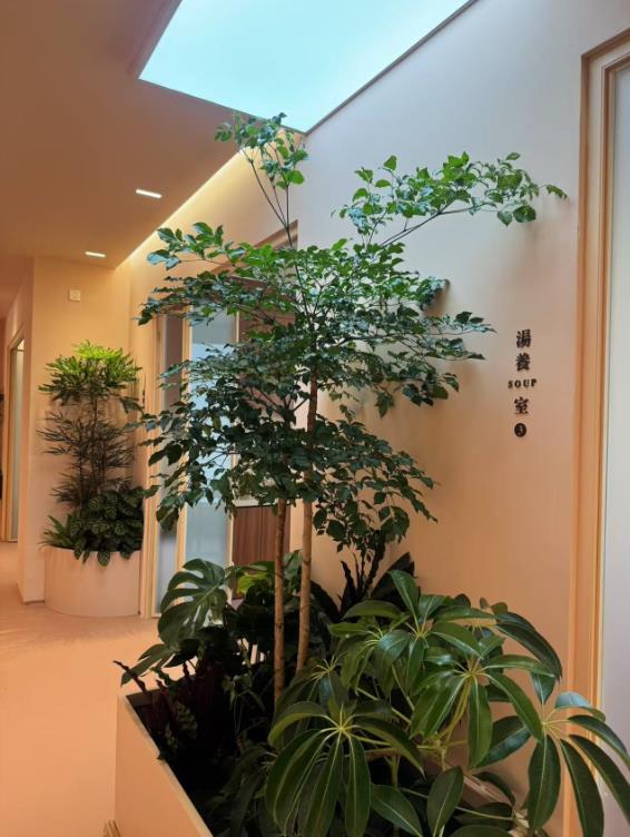 北京顺季养养生馆设计公司是北京海岸设计公司 北京海岸设计|餐饮设计|酒店设计|民宿设计